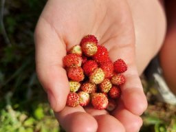 b_1024_768_0_00_images_2022_2023_1-3_AkademiaMalych_rajd_352394016_568761088752783_3836334865324735544_n